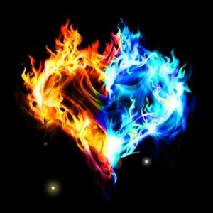 Meet your Posher, Abigail